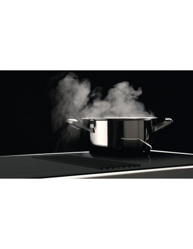 GALVAMET QUICK Induction hob with extractor