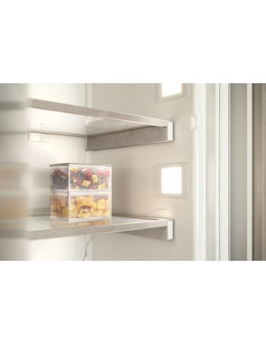 GAGGENAU RF282306 Vario Integrated freezer (4)