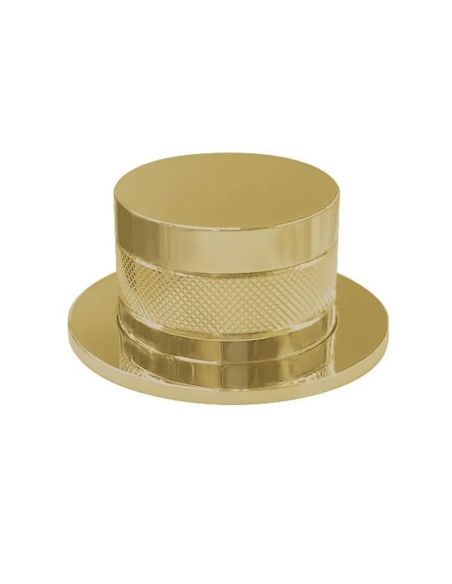 SystemCeram 0876 Remote Pushcontrol button for the bottom valve, Gold Matt (1)