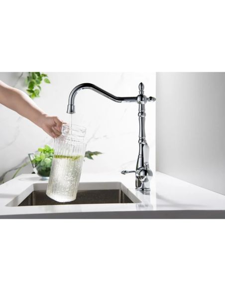 Blue Water SAXO Хромированный 2in1 Кухонный смеситель с отводом для фильтра (4)
