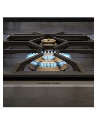 GAGGENAU VG425115F Vario elelement , 28– 37 mbar kahe gaasipõletiga (3)