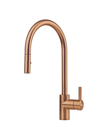 FRANKE EOS-NEO D Kitchen Taps with swivel spout pull-out hand shower 115.0628.254