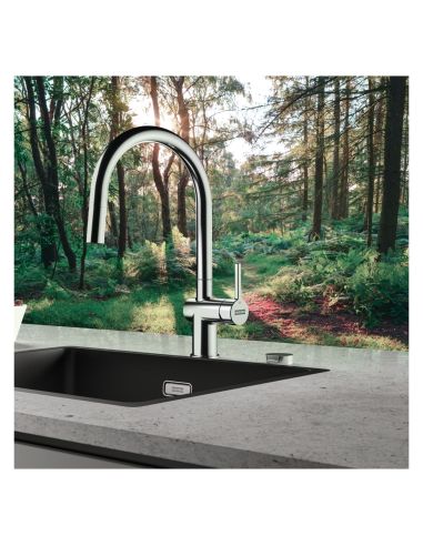 FRANKE ACTIVE J Kitchen Taps With extractable hose spray